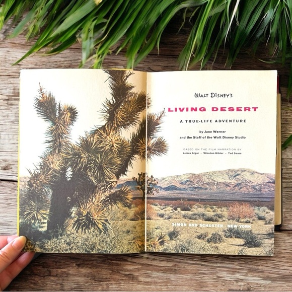 VINTAGE 1954 Walt Disney’s Living Desert - A True-Life Adventure Hardcover - Picture 11 of 16
